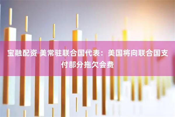 宝融配资 美常驻联合国代表：美国将向联合国支付部分拖欠会费