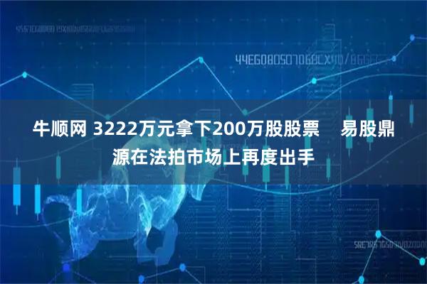 牛顺网 3222万元拿下200万股股票    易股鼎源在法拍市场上再度出手