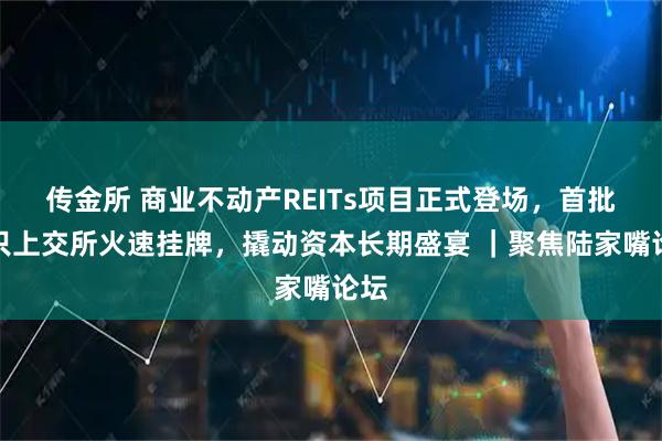 传金所 商业不动产REITs项目正式登场，首批四只上交所火速挂牌，撬动资本长期盛宴 ｜聚焦陆家嘴论坛