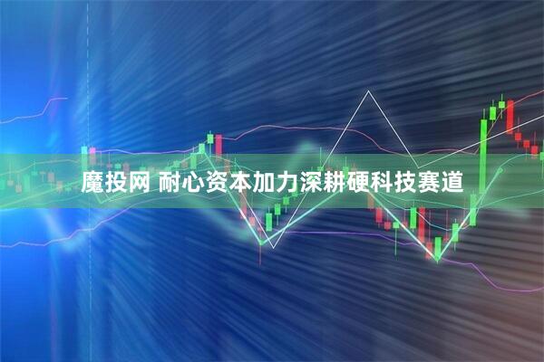 魔投网 耐心资本加力深耕硬科技赛道